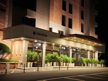 Hotel the Star Отели в г. Йонгван