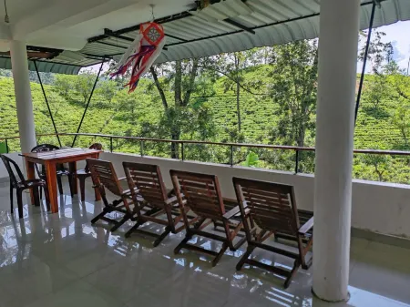 The Tea View Guest Ella