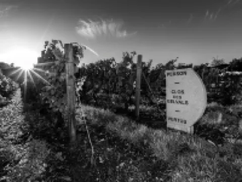 Le Clos des Belvals Hotels in Vertus