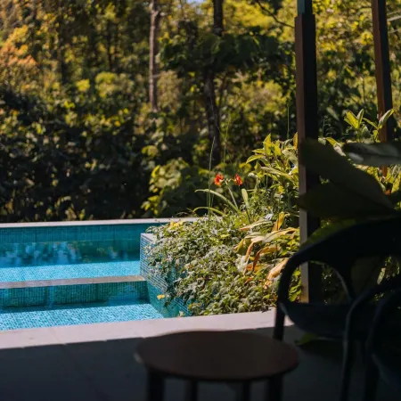Elixir Woods Luxury Resort and Spa, Munnar