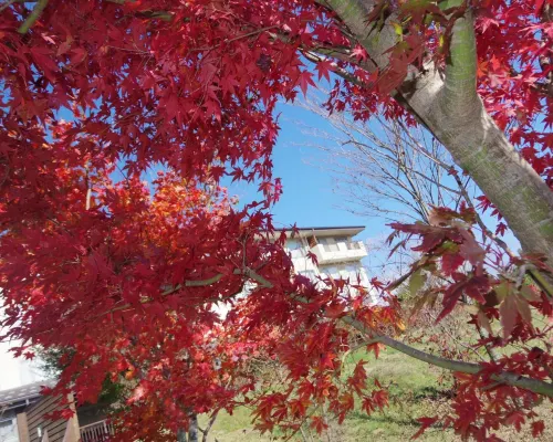 The Gran Resort Princess Fujikawaguchiko Photos