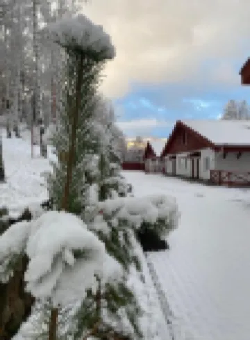 33 Medvedya Hotels in Beloretsky District