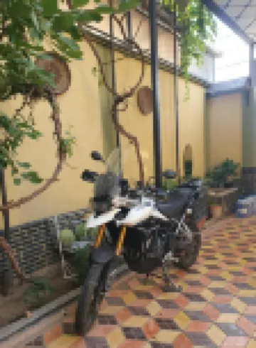 Guest House Homely Hotels in 