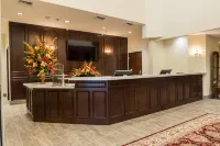 Skyline Hotel and Casino - Mountain view