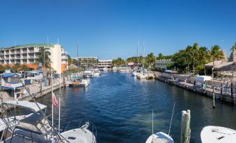 Courtyard Key Largo