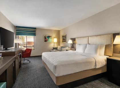 햄프턴 인 트로피카나 라스베이거스