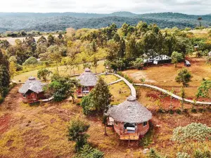 Foresight Eco Lodge & Safari