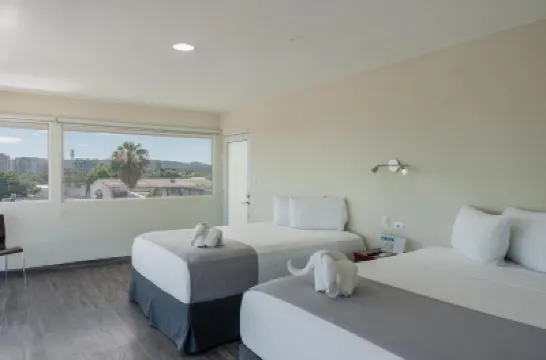 温莎廣場酒店 酒店