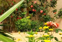 Résidence Saint Michel Hotels in Corbara