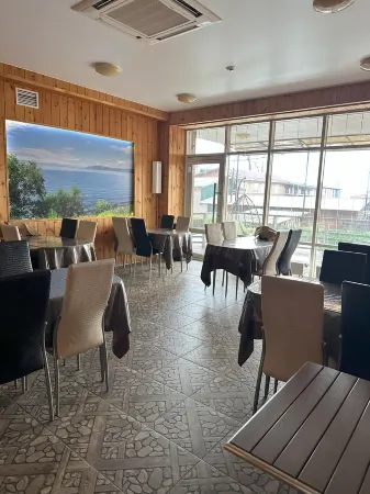 Baikal Cedar (Байкал Кедр)