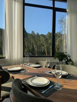 Emerald Borjomi Hotel - Vuoristonäköala