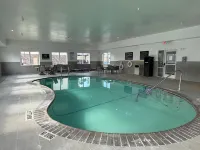 Hampton Inn & Suites Corpus Christi I-37 - Navigation Blvd. - piscina