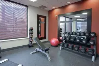 Hampton Inn & Suites Pittsburgh-Downtown - Gym