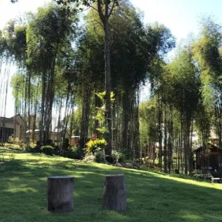 NantraKiri