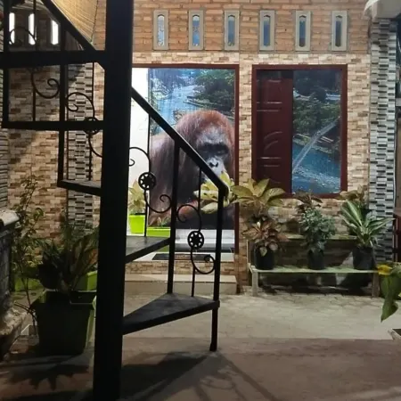 Backpacker Lodge