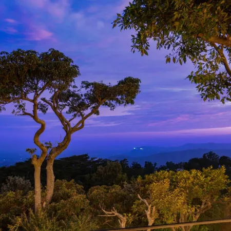 Melheim Resort & Spa Haputale - An Infinite Escape into the Paradise