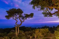 Melheim Resort & Spa Haputale - An Infinite Escape into the Paradise - Mountain view