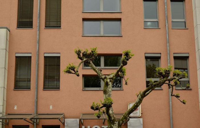 Hotel Alberga
