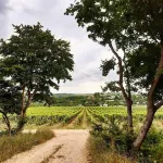 Chateau Andre Các khách sạn ở Huyện Krymsky