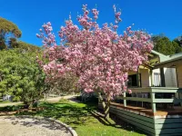 Golden Heritage Apartments Beechworth - Boutique