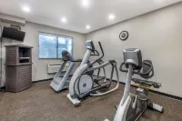 Best Western des Plaines Inn - Gym