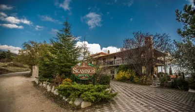 Boutique Hotel Skamnos Arachova Hotel a 