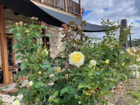Royal Hotel Capertee Hotels in Lithgow