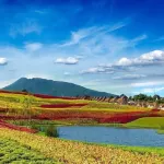 Villa Vimala Hills Bogor Puncak Cluster Krakatau Hotel a Ciawi