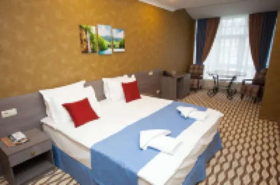 Mansarda Hotel Hotels in Kotel'niki