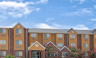 Super 8 by Wyndham San Antonio Downtown NE