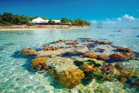 Heron Island Resort - Strand