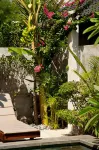 Taman Senang - Private Pool Villas - Gili Air - Villas