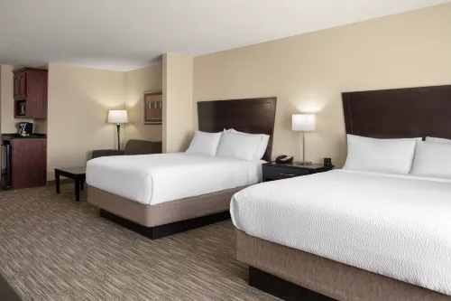 Holiday Inn Express & Suites Snyder Hotels in Snyder