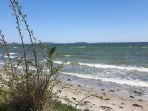 Heu-Ferienhof Altkamp Hotels in Putbus