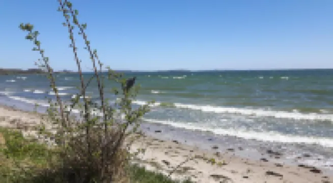 Heu-Ferienhof Altkamp