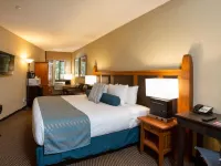 Blackcomb Lodge Hotels near The Peak