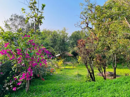 Coorg Daffodil Guesthouse