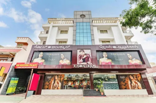 Sri Krishna Palace