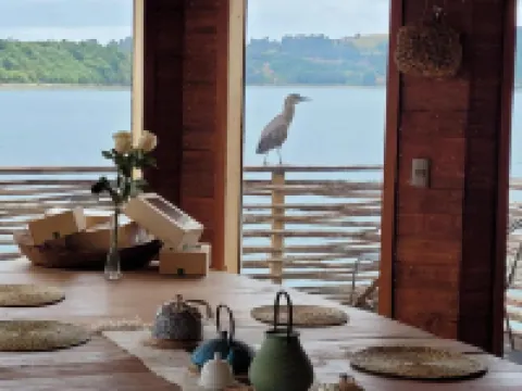 Alma Chilota Hotels in Castro