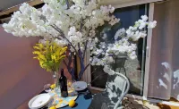 LogeYou - homestay