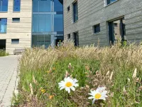 Appartements Haus Augustinus - Boutique