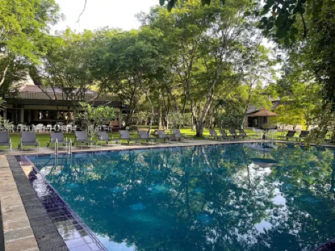 كاسابا ليونز روك فنادق في 