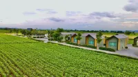Tara Valley Saraburi فنادق في Phatthana Nikhom