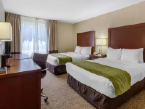 Comfort Inn St Petersburg North Hotels in St. Petersburg