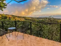 Tityra Lodge - Mountain view