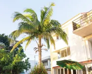 Sky Ocean - Ishigaki Eco-Resort