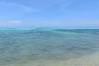 法雷奧特海灘 - 沙灘