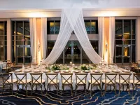 Marriott Virginia Beach Oceanfront Resort Hotels near Owl Creek