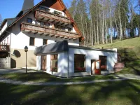Hotel und Restaurant Köhlerhütte-Fürstenbrunn im Erzgebirge Hotels in Grünhain-Beierfeld