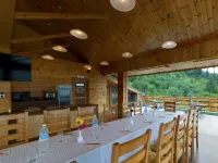 Vivaan the Sunrise Resort - Yolcu Alma/Bırakma Hizmetleri